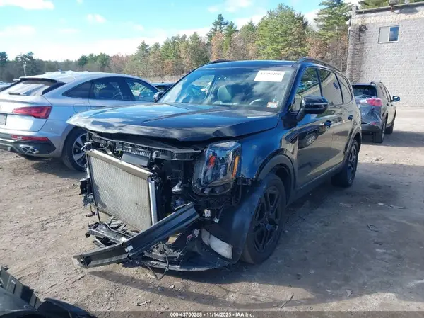 5XYP3DGC4RG421014 2024 KIA TELLURIDE - Image 2