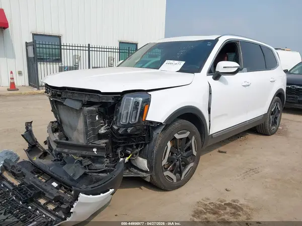 5XYP3DGC4RG424026 2024 KIA TELLURIDE - Image 2