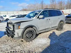 5XYP3DGC4RG476191 2024 KIA TELLURIDE