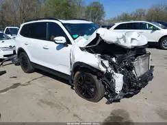 5XYP3DGC4RG503356 2024 KIA TELLURIDE