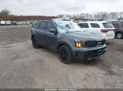 5XYP3DGC4RG514387 2024 KIA TELLURIDE