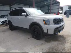 5XYP3DGC4RG553383 2024 KIA TELLURIDE