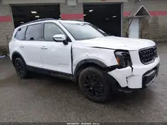 5XYP3DGC4SG598023 2025 KIA TELLURIDE