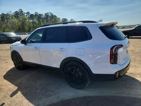5XYP3DGC4SG603205 2025 KIA TELLURIDE - Image 2