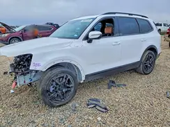5XYP3DGC4SG604645 2025 KIA TELLURIDE