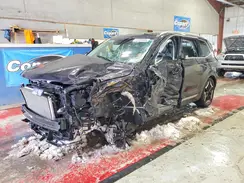 5XYP3DGC4SG625799 2025 KIA TELLURIDE