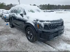 5XYP3DGC4SG628749 2025 KIA TELLURIDE