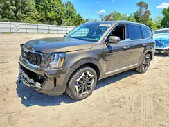 5XYP3DGC4SG662657 2025 KIA TELLURIDE