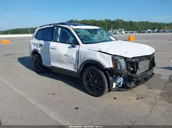 5XYP3DGC4SG725949 2025 KIA TELLURIDE