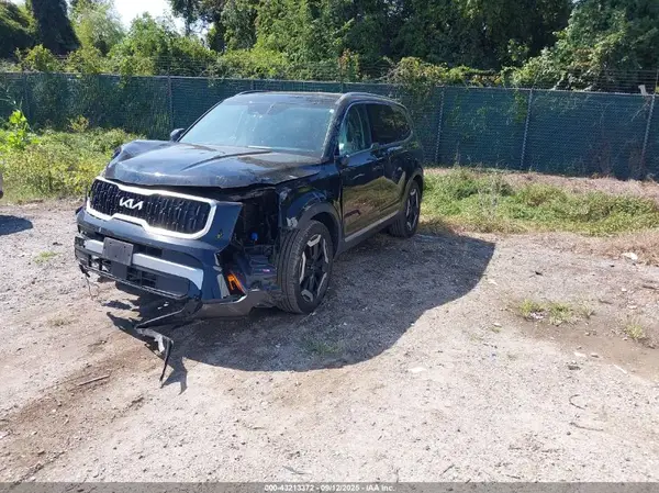 5XYP3DGC5RG423645 2024 KIA TELLURIDE - Image 2