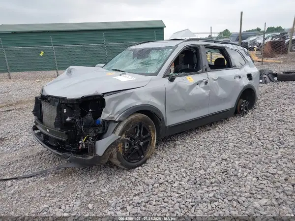 5XYP3DGC5RG427162 2024 KIA TELLURIDE - Image 2