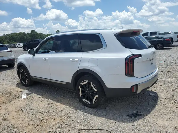 5XYP3DGC5RG491590 2024 KIA TELLURIDE - Image 2