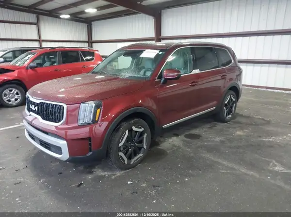 5XYP3DGC5RG500062 2024 KIA TELLURIDE - Image 2