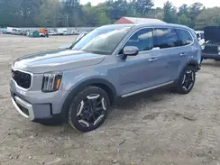5XYP3DGC5RG510994 2024 KIA TELLURIDE