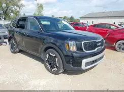 5XYP3DGC5RG556843 2024 KIA TELLURIDE