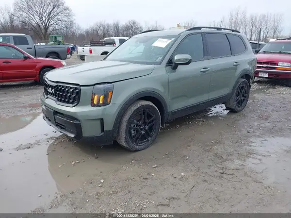 5XYP3DGC5RG559709 2024 KIA TELLURIDE - Image 2