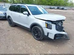 5XYP3DGC5SG577553 2025 KIA TELLURIDE