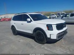 5XYP3DGC6PG340979 2023 KIA TELLURIDE