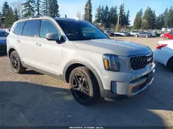 5XYP3DGC6PG392175 2023 KIA TELLURIDE