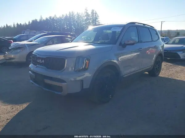 5XYP3DGC6PG392175 2023 KIA TELLURIDE - Image 2