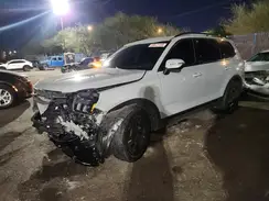 5XYP3DGC6RG491663 2024 KIA TELLURIDE