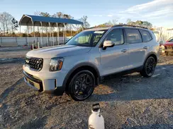 5XYP3DGC6RG496748 2024 KIA TELLURIDE