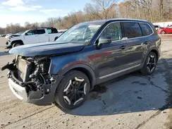 5XYP3DGC6RG502144 2024 KIA TELLURIDE