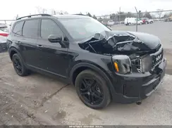 5XYP3DGC6RG503164 2024 KIA TELLURIDE