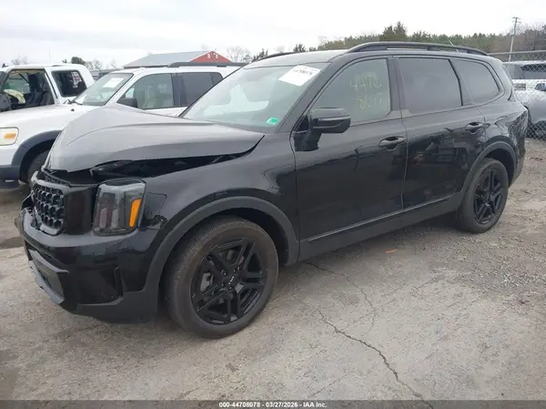 5XYP3DGC6RG503164 2024 KIA TELLURIDE - Image 2
