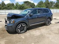 5XYP3DGC6RG507036 2024 KIA TELLURIDE