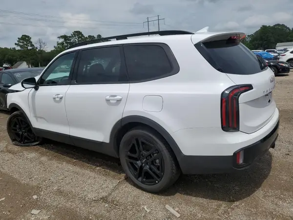 5XYP3DGC6RG525262 2024 KIA TELLURIDE - Image 2