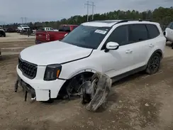 5XYP3DGC6SG574239 2025 KIA TELLURIDE