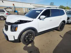 5XYP3DGC6SG591154 2025 KIA TELLURIDE