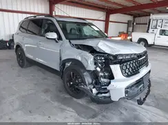 5XYP3DGC6SG618630 2025 KIA TELLURIDE