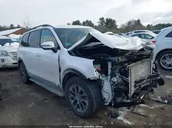5XYP3DGC6SG644113 2025 KIA TELLURIDE