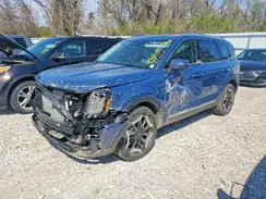 5XYP3DGC6SG647917 2025 KIA TELLURIDE