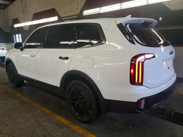 5XYP3DGC6SG666113 2025 KIA TELLURIDE - Image 2