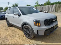 5XYP3DGC7RG429219 2024 KIA TELLURIDE