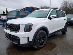 5XYP3DGC7RG437286 2024 KIA TELLURIDE