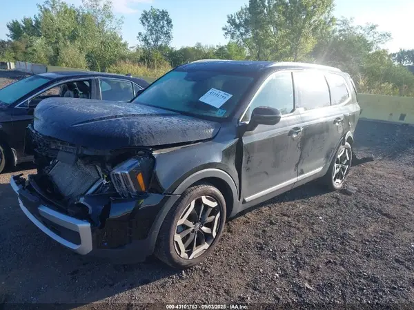 5XYP3DGC7RG466710 2024 KIA TELLURIDE - Image 2