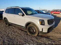 5XYP3DGC7RG493325 2024 KIA TELLURIDE