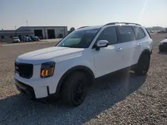 5XYP3DGC7RG558271 2024 KIA TELLURIDE