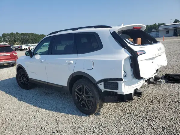 5XYP3DGC7RG558271 2024 KIA TELLURIDE - Image 2