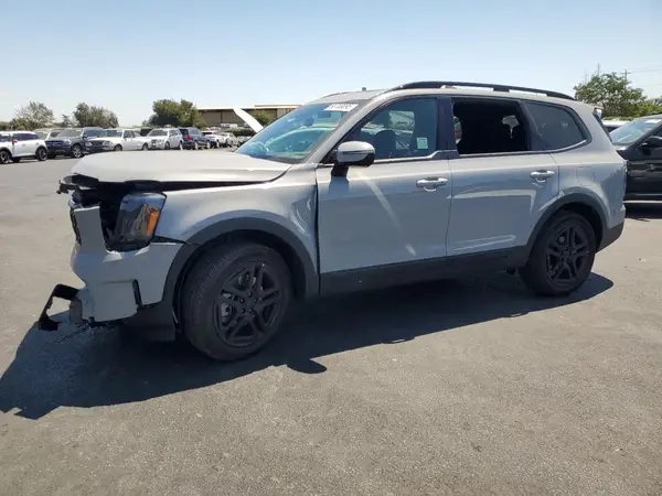 5XYP3DGC7SG584973 2025 KIA TELLURIDE - Image 1