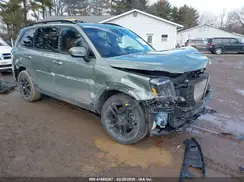 5XYP3DGC8PG338845 2023 KIA TELLURIDE