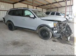 5XYP3DGC8RG422151 2024 KIA TELLURIDE