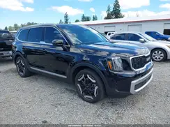 5XYP3DGC8RG485850 2024 KIA TELLURIDE