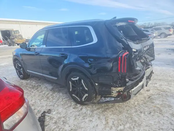 5XYP3DGC8RG509726 2024 KIA TELLURIDE - Image 2