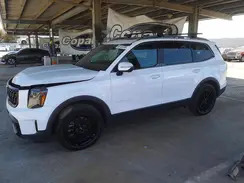 5XYP3DGC8RG512934 2024 KIA TELLURIDE