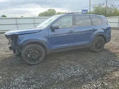 5XYP3DGC8RG527790 2024 KIA TELLURIDE